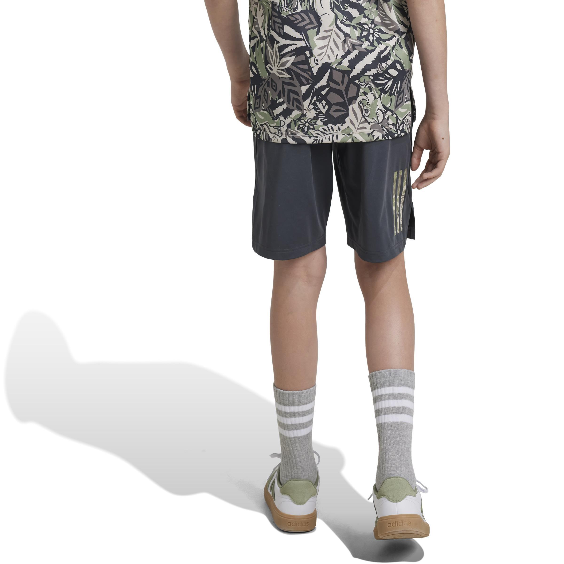 Kids Disney Lion King Shorts, Grey, A901_ONE, medium