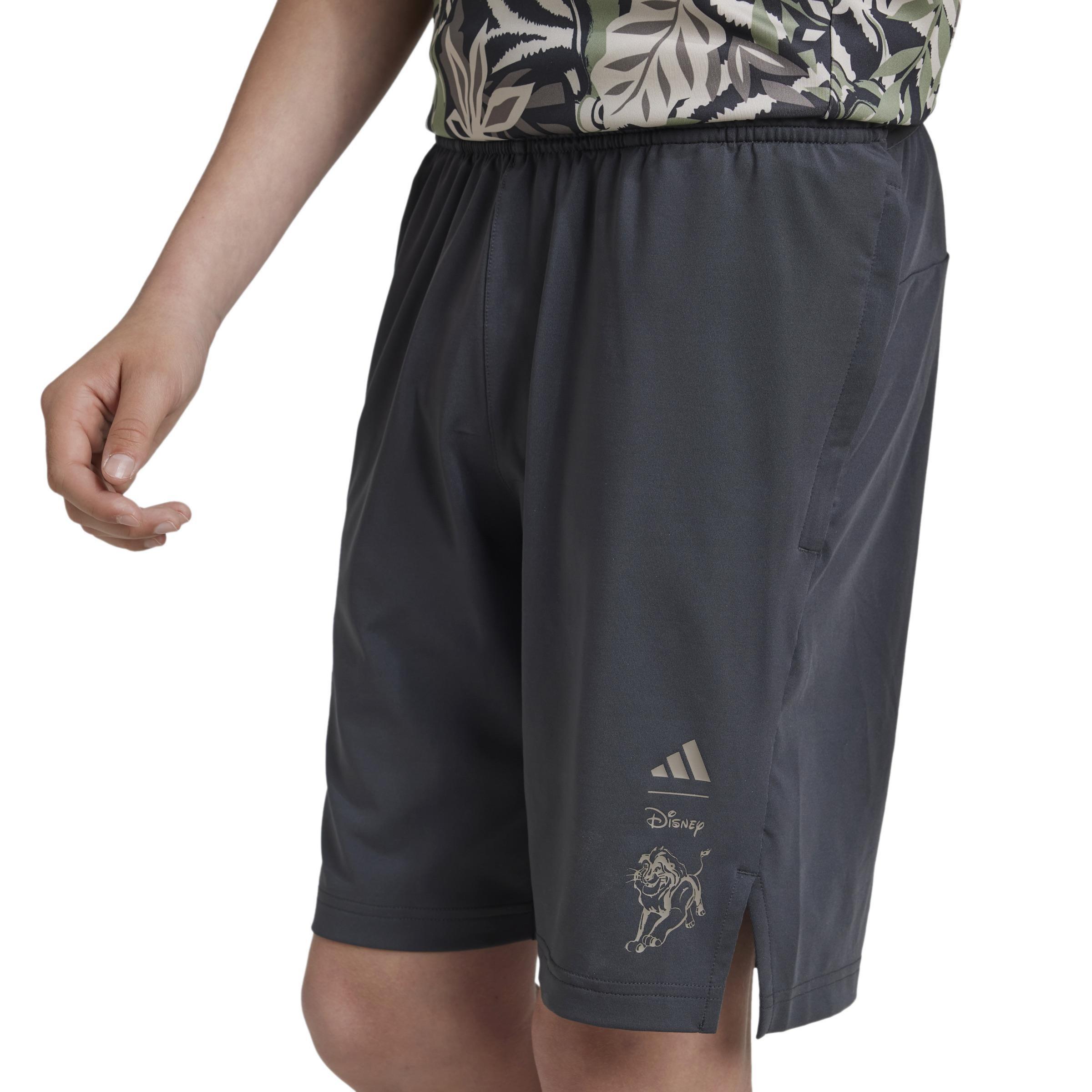 Kids Disney Lion King Shorts, Grey, A901_ONE, large image number 3