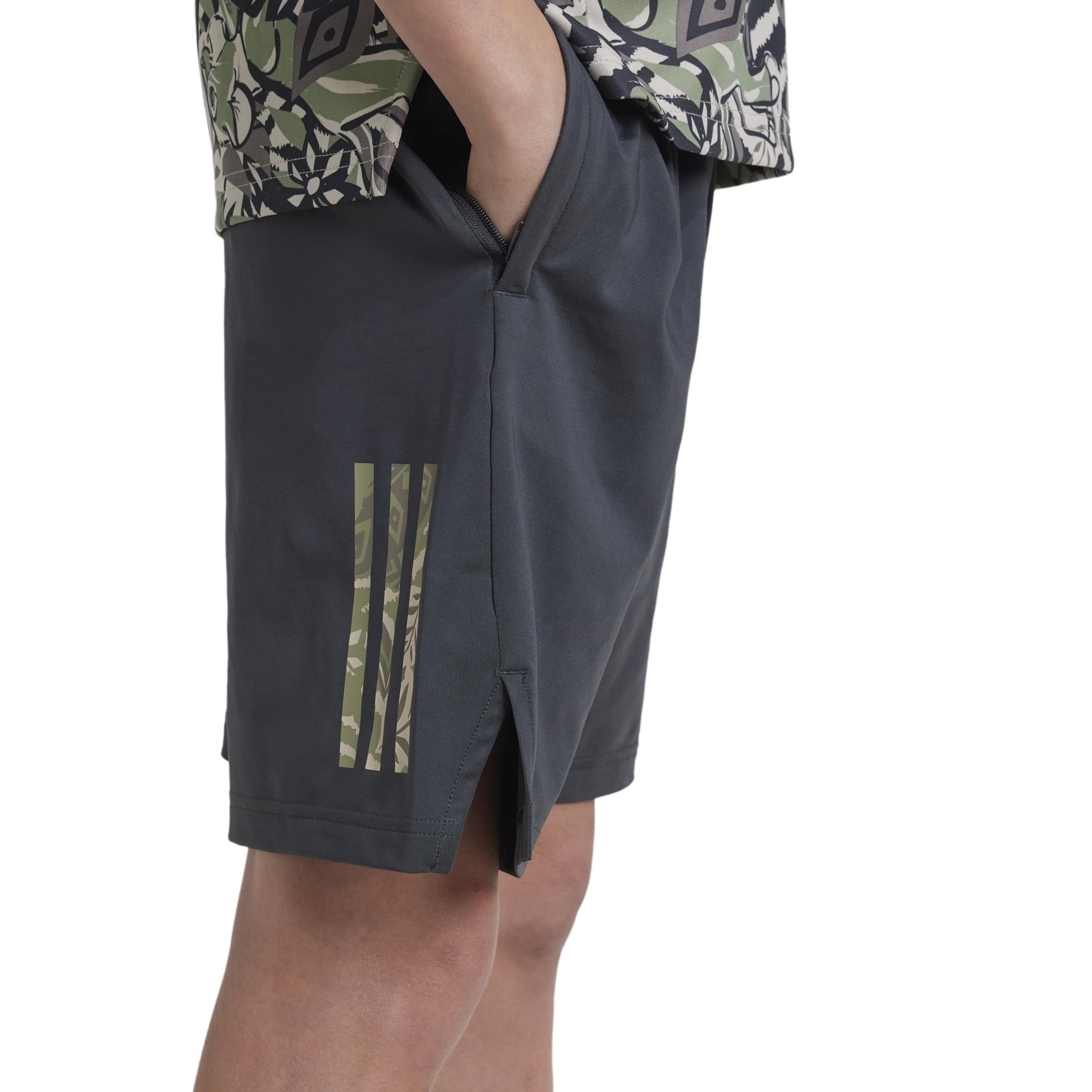 Kids Disney Lion King Shorts, Grey, A901_ONE, large image number 4