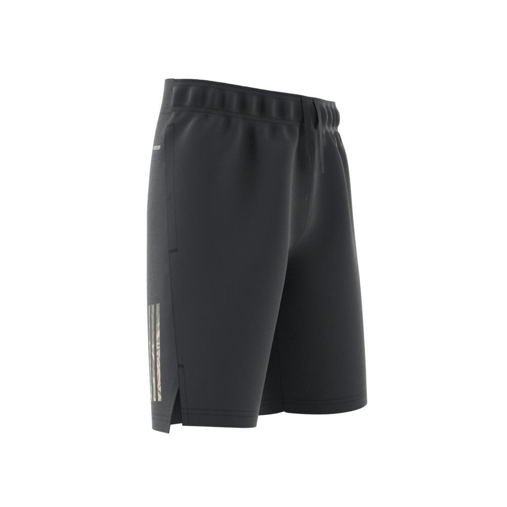 Kids Disney Lion King Shorts, Grey, A901_ONE, large image number 5