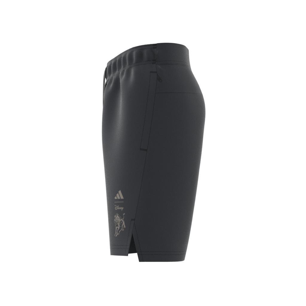 Kids Disney Lion King Shorts, Grey, A901_ONE, large image number 6