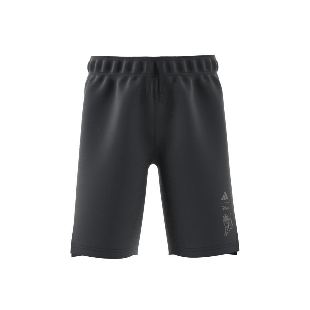 Kids Disney Lion King Shorts, Grey, A901_ONE, large image number 8