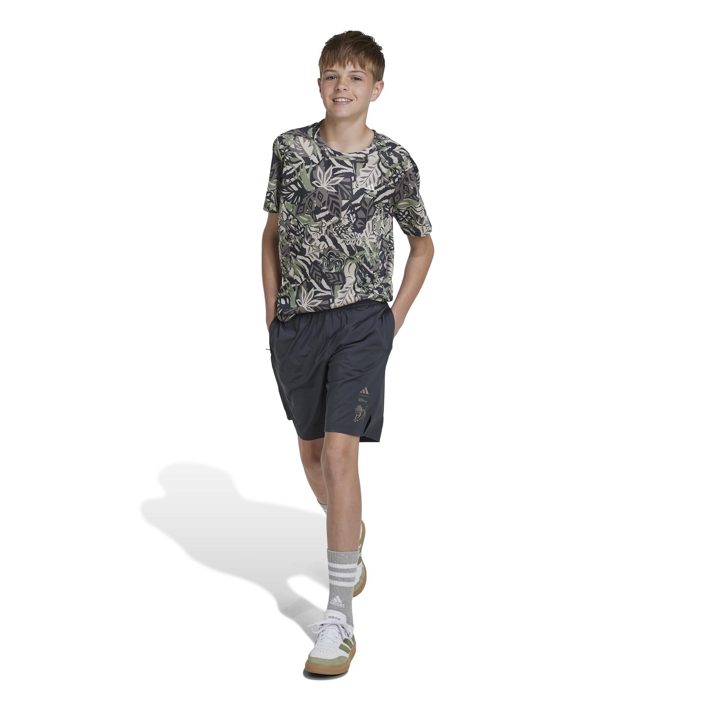 Kids Disney Lion King Shorts, Grey, , large image number 10
