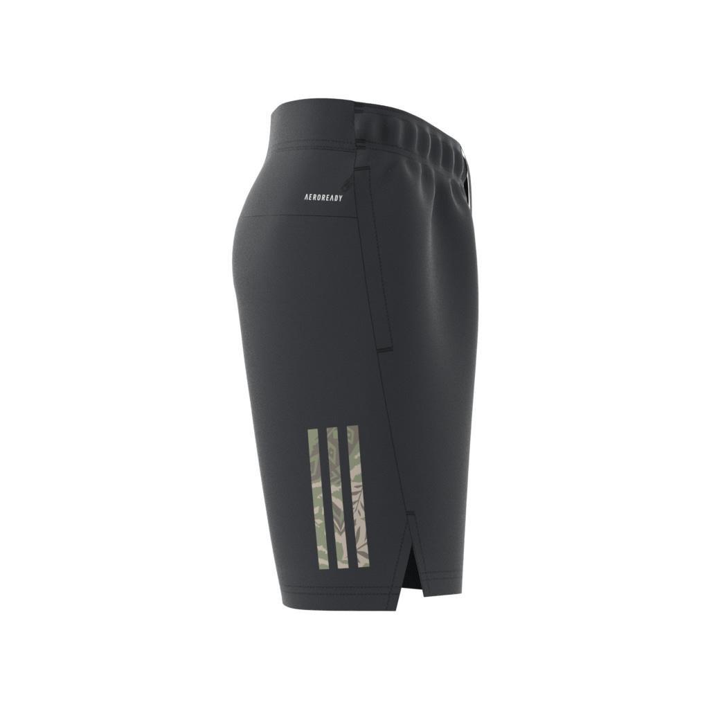 Kids Disney Lion King Shorts, Grey, A901_ONE, large image number 11