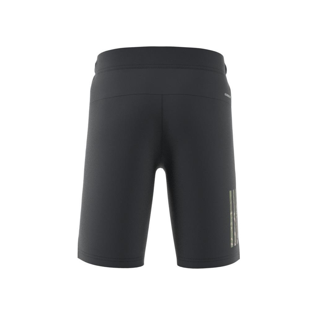 Kids Disney Lion King Shorts, Grey, A901_ONE, large image number 12