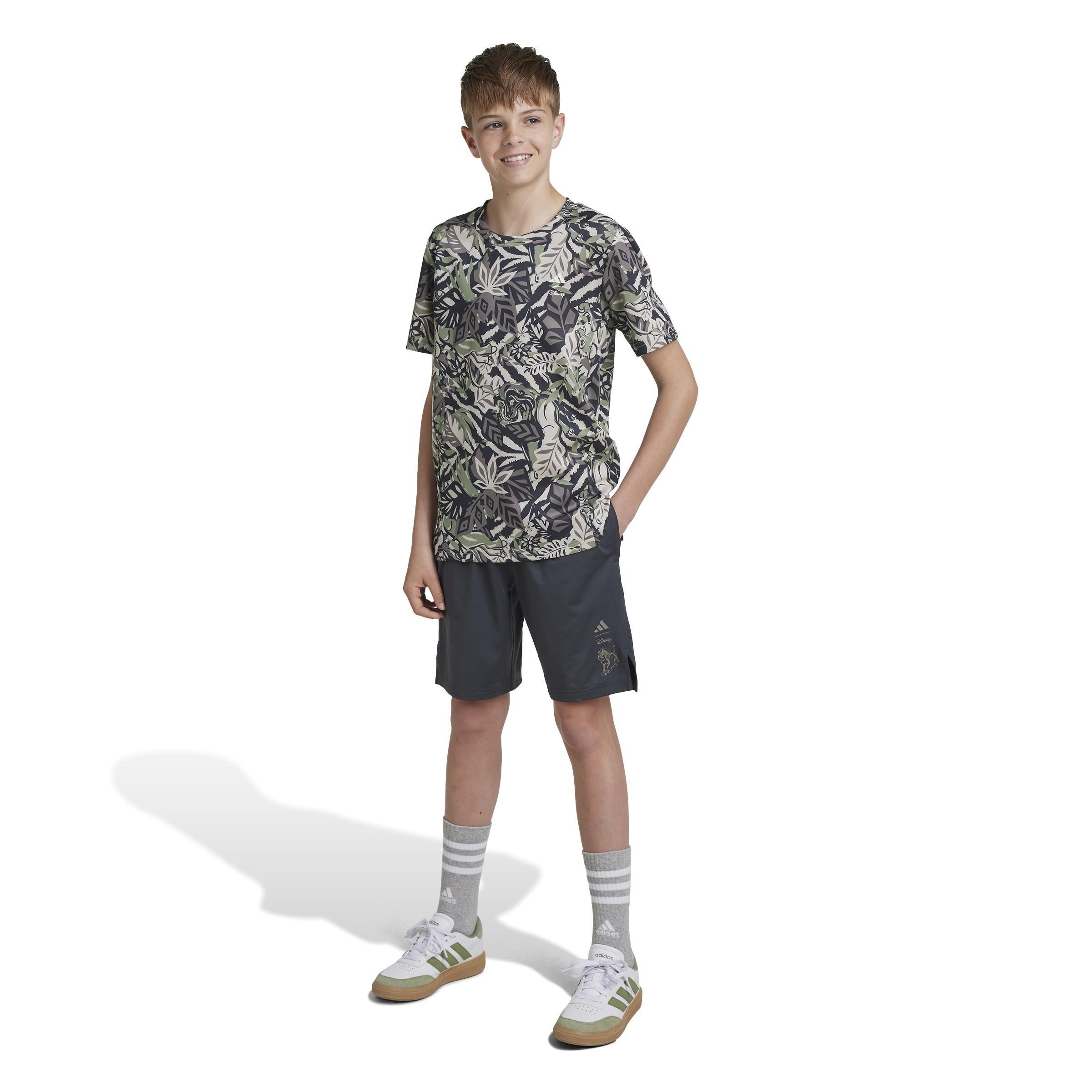 Kids Disney Lion King Shorts, Grey, , large image number 13