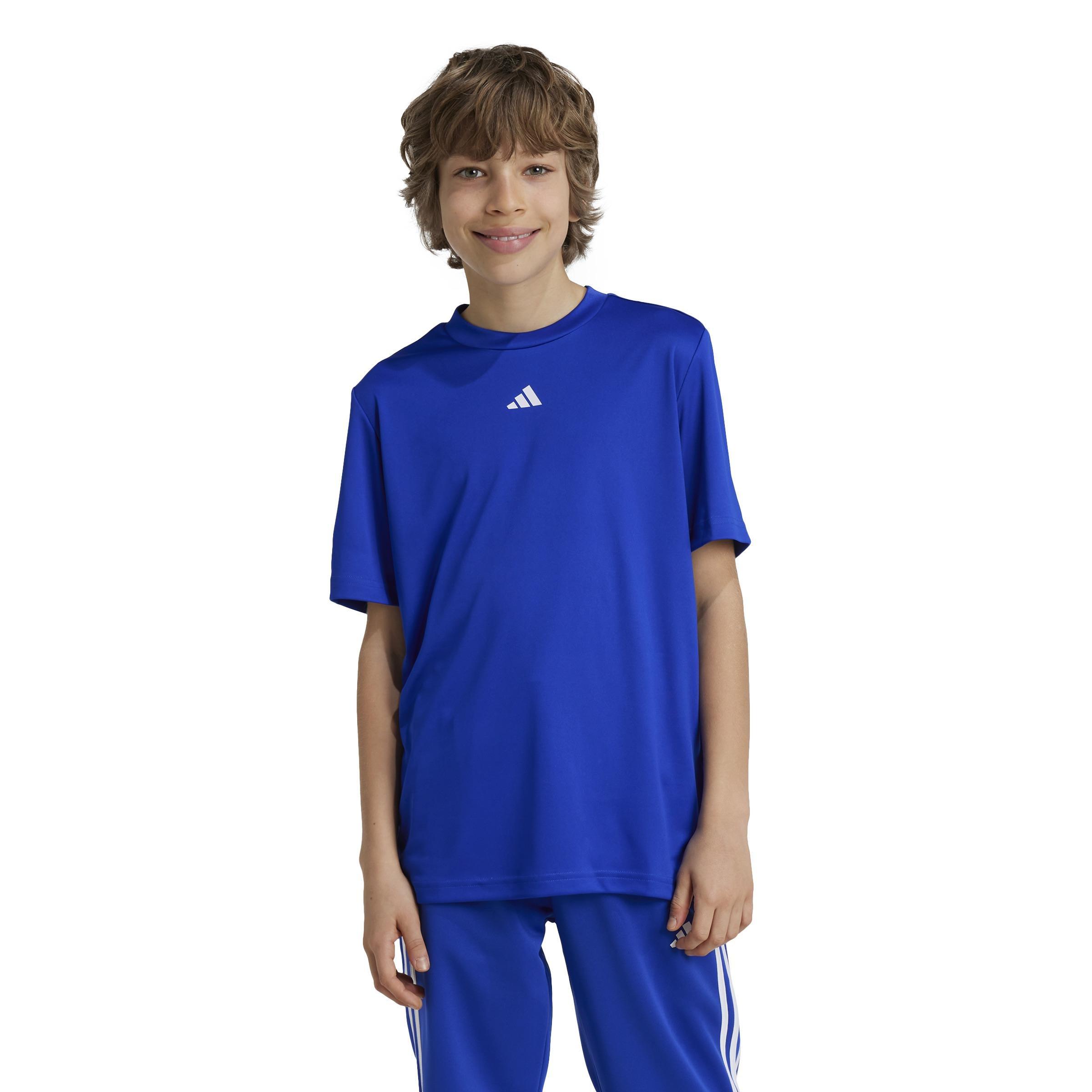 Unisex Kids Train Essentials Logo Regular Fit T-Shirt, Blue, , large image number 12