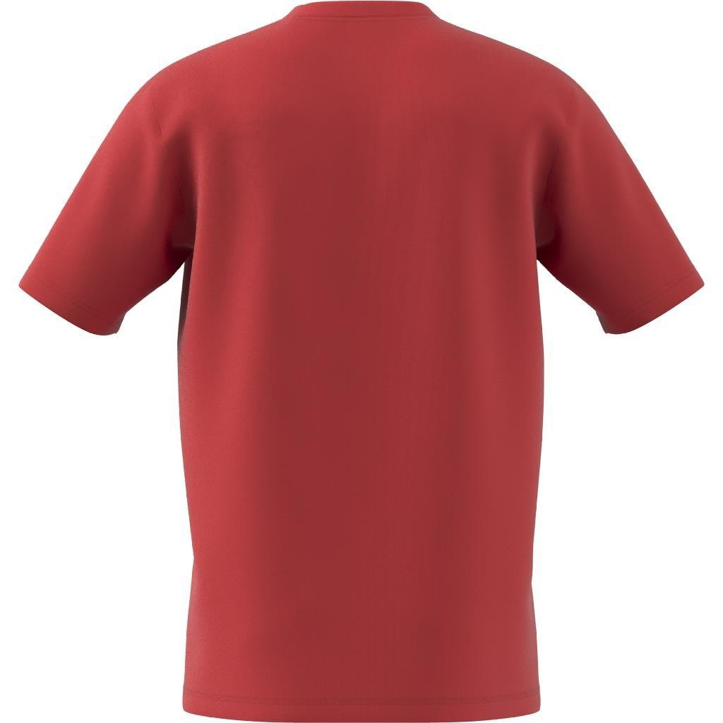 Brand Love Signature Graphic T-Shirt, Orange, A901_ONE, large image number 6