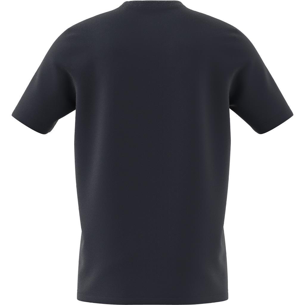 Collegiate Graphic T-shirt, Blue, , large image number 7