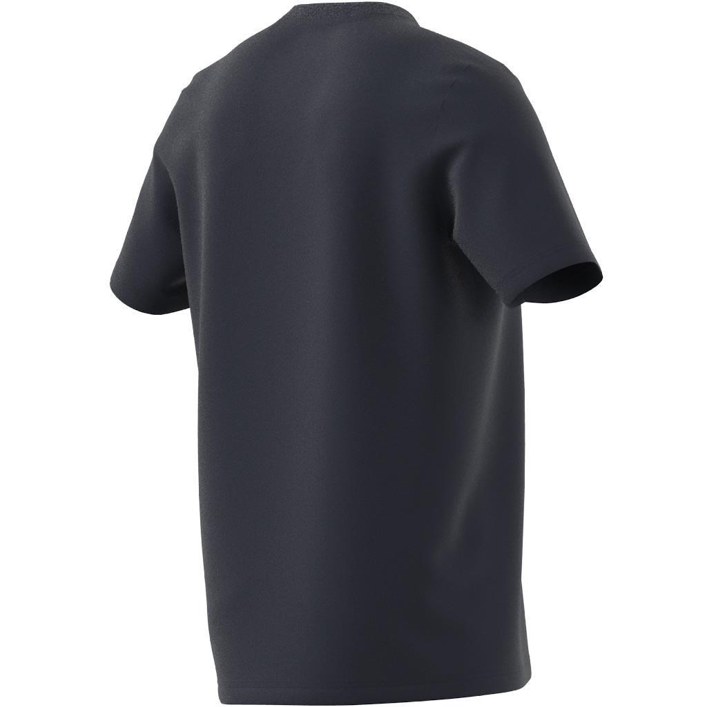 Collegiate Graphic T-shirt, Blue, , large image number 14