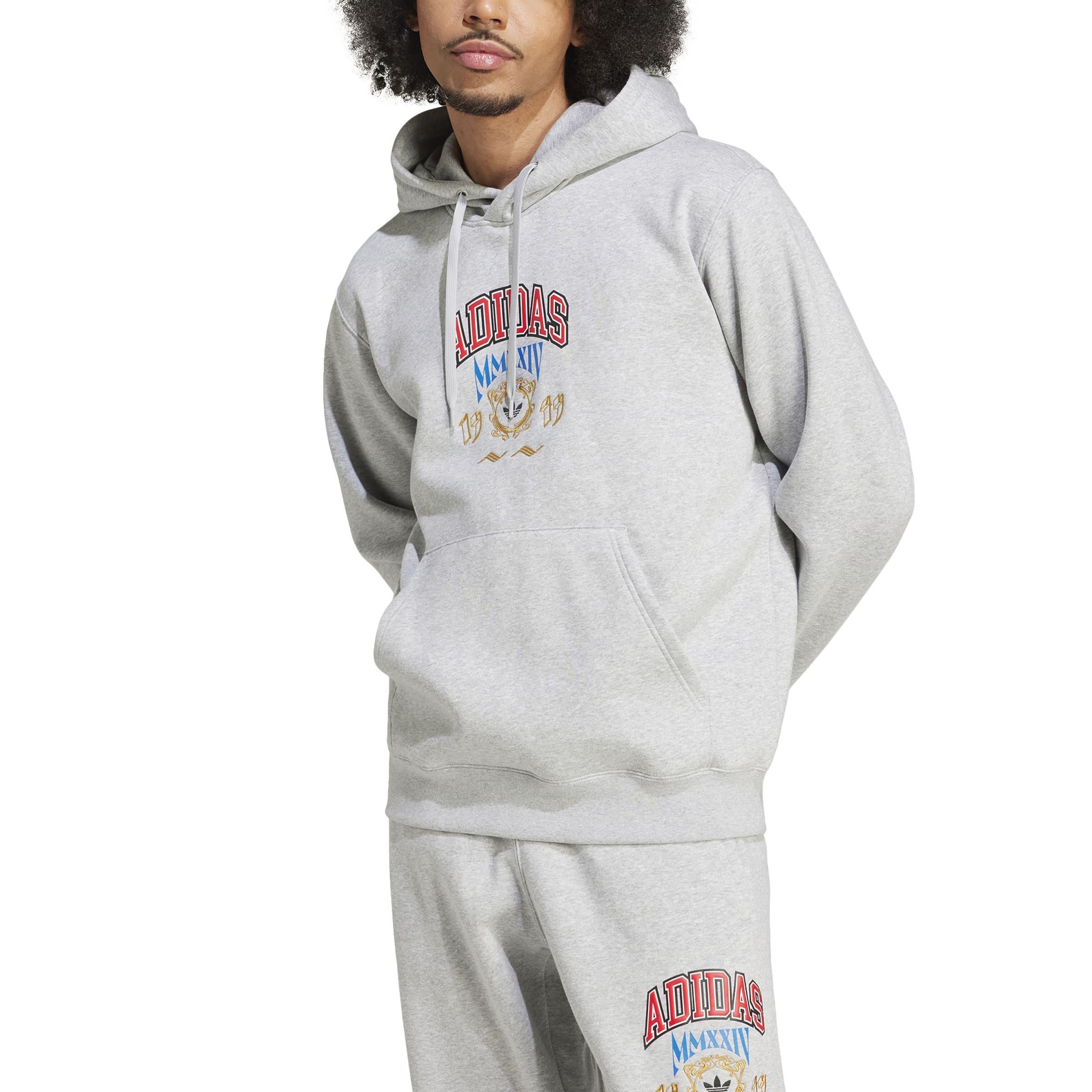 Hooded 1 Sweatshirt, Grey, A901_ONE, large image number 0