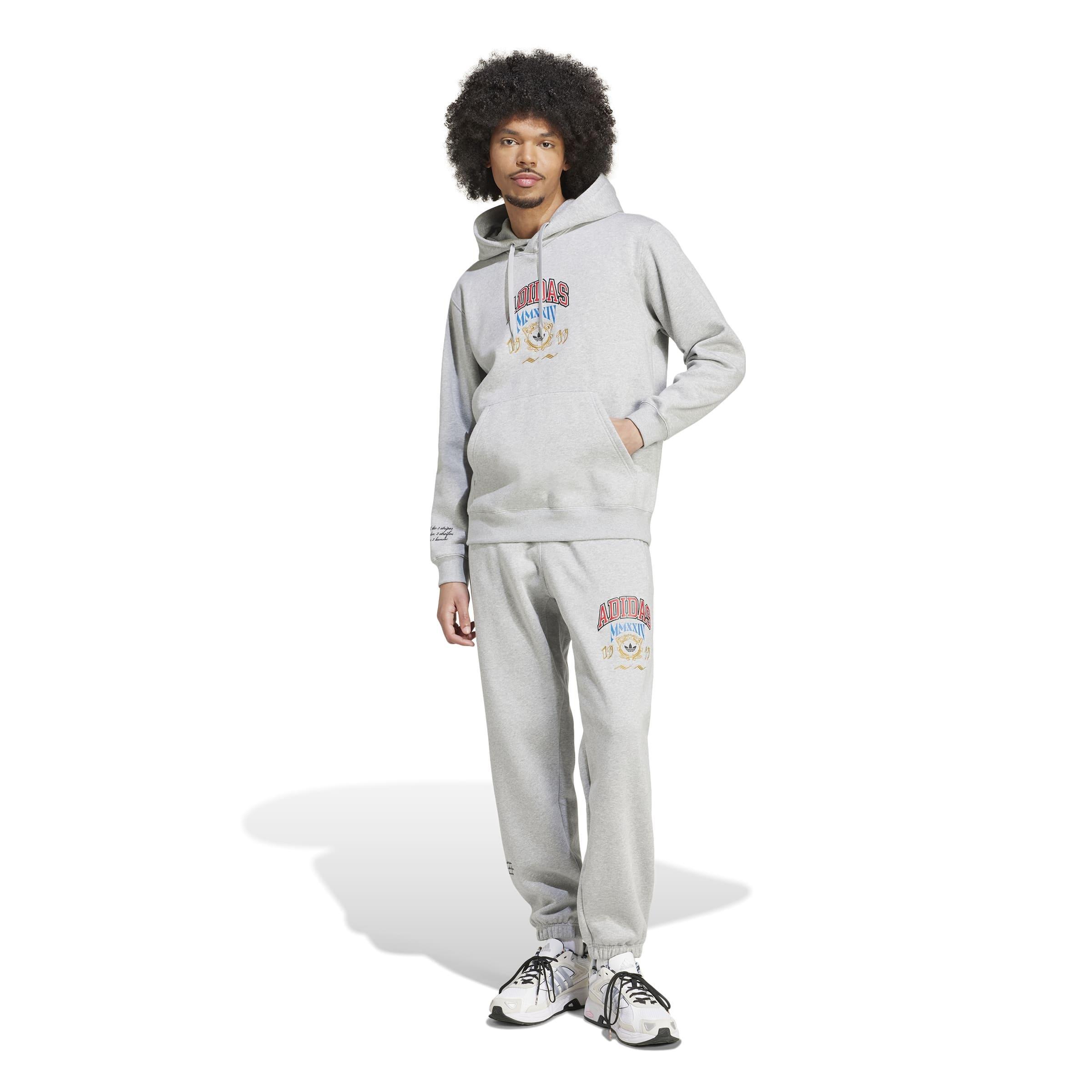 Hooded 1 Sweatshirt, Grey, A901_ONE, large image number 8