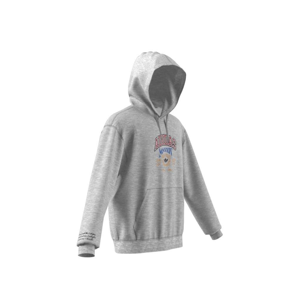 Hooded 1 Sweatshirt, Grey, A901_ONE, large image number 9