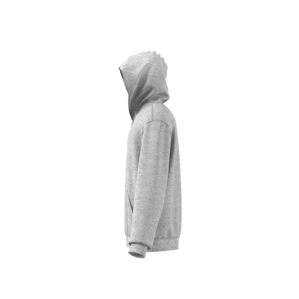 Hooded 1 Sweatshirt, Grey, A901_ONE, large image number 10