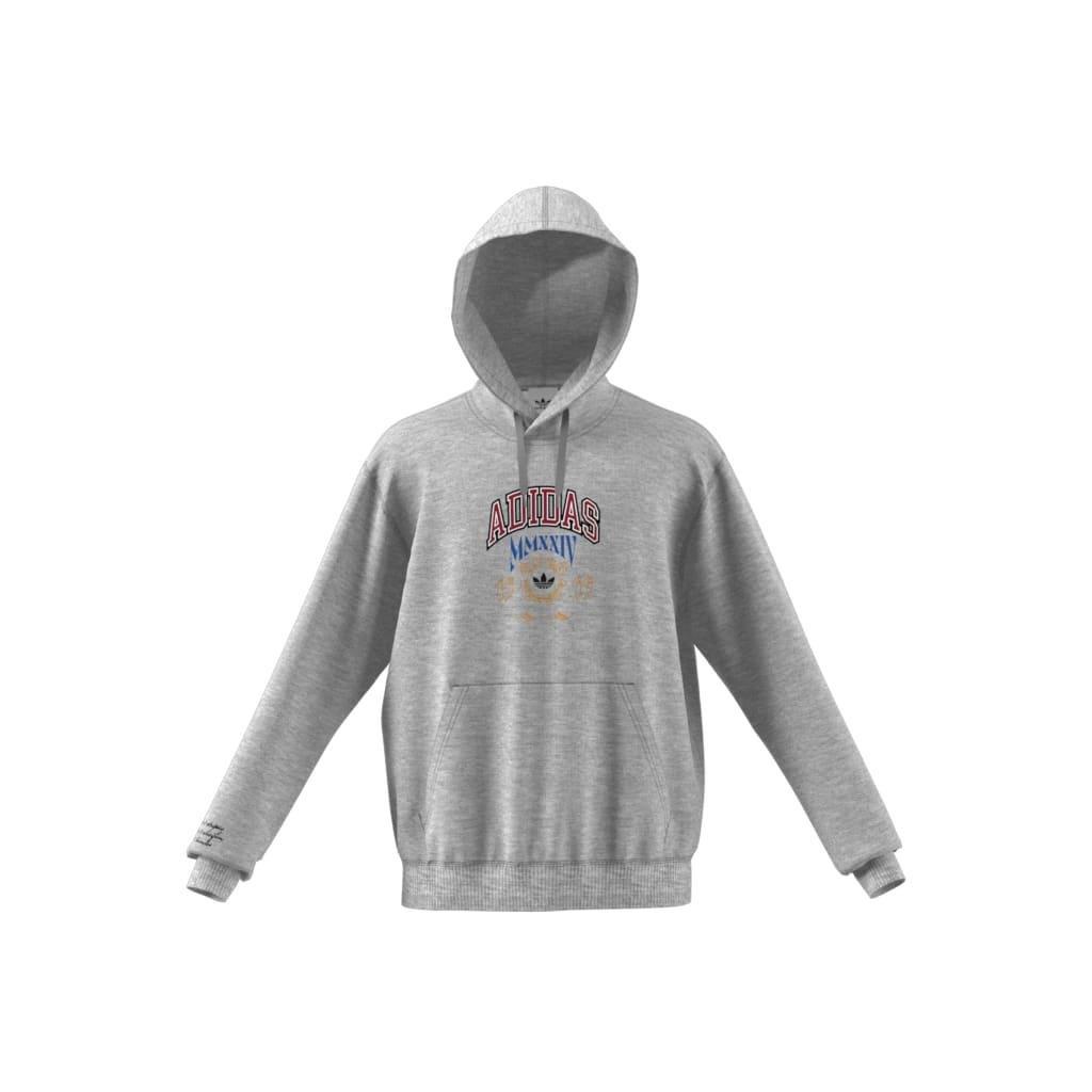 Hooded 1 Sweatshirt, Grey, A901_ONE, large image number 12