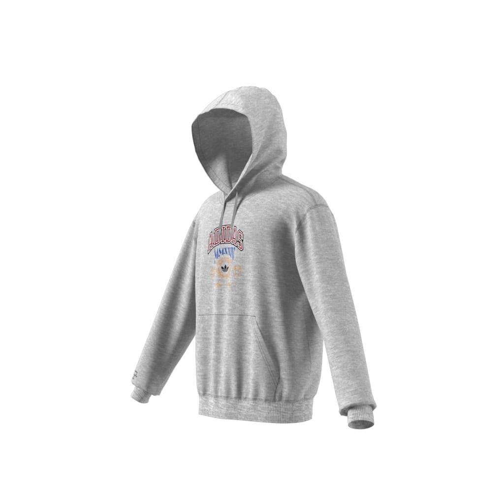 Hooded 1 Sweatshirt, Grey, A901_ONE, large image number 14