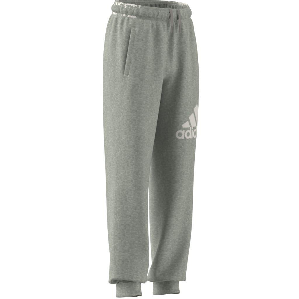 Kids Unisex Essentials Regular Fit Big Logo Cotton Joggers, Grey, , large image number 14
