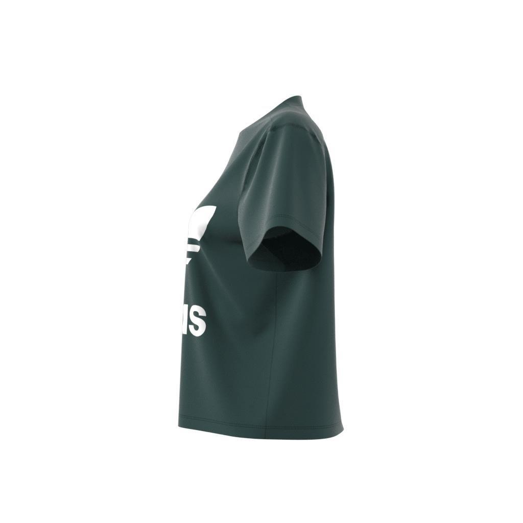 Adicolor Trefoil Boxy T-Shirt, Green, , large image number 6