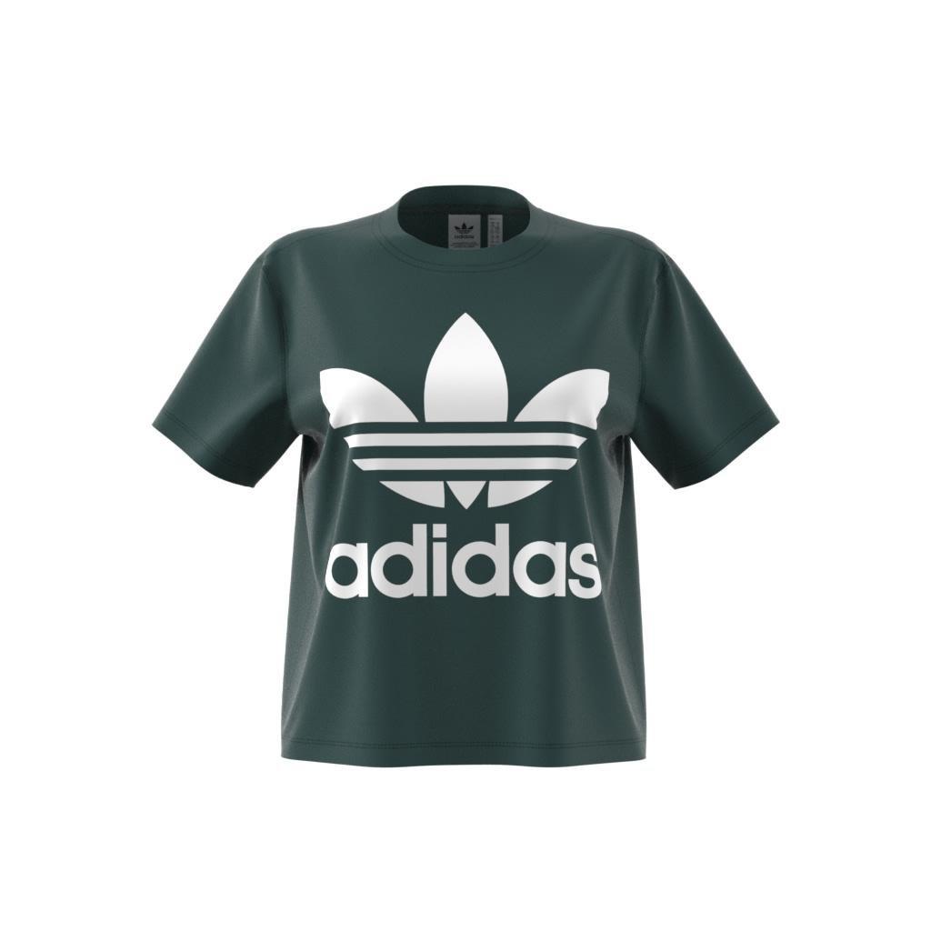 Adicolor Trefoil Boxy T-Shirt, Green, , large image number 11