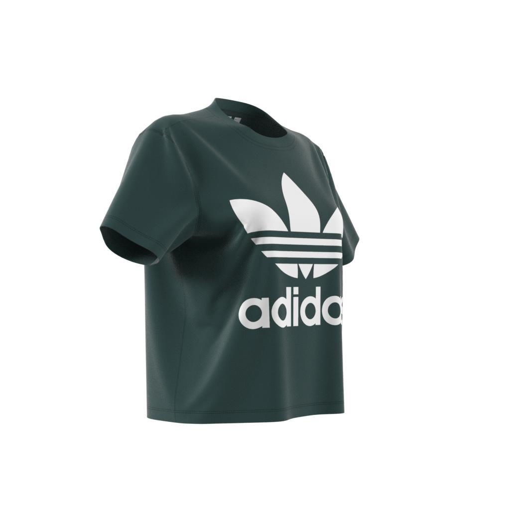Adicolor Trefoil Boxy T-Shirt, Green, , large image number 12