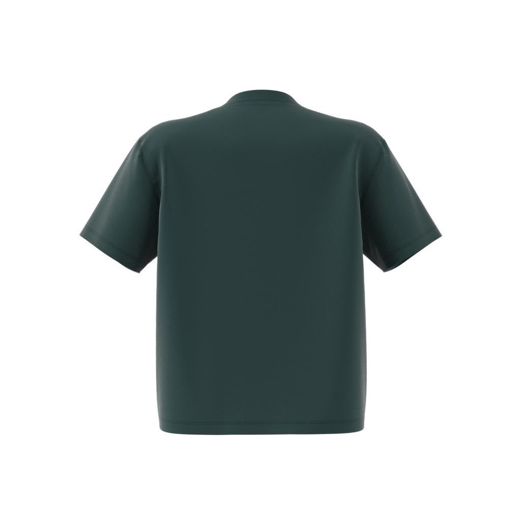 Adicolor Trefoil Boxy T-Shirt, Green, , large image number 14