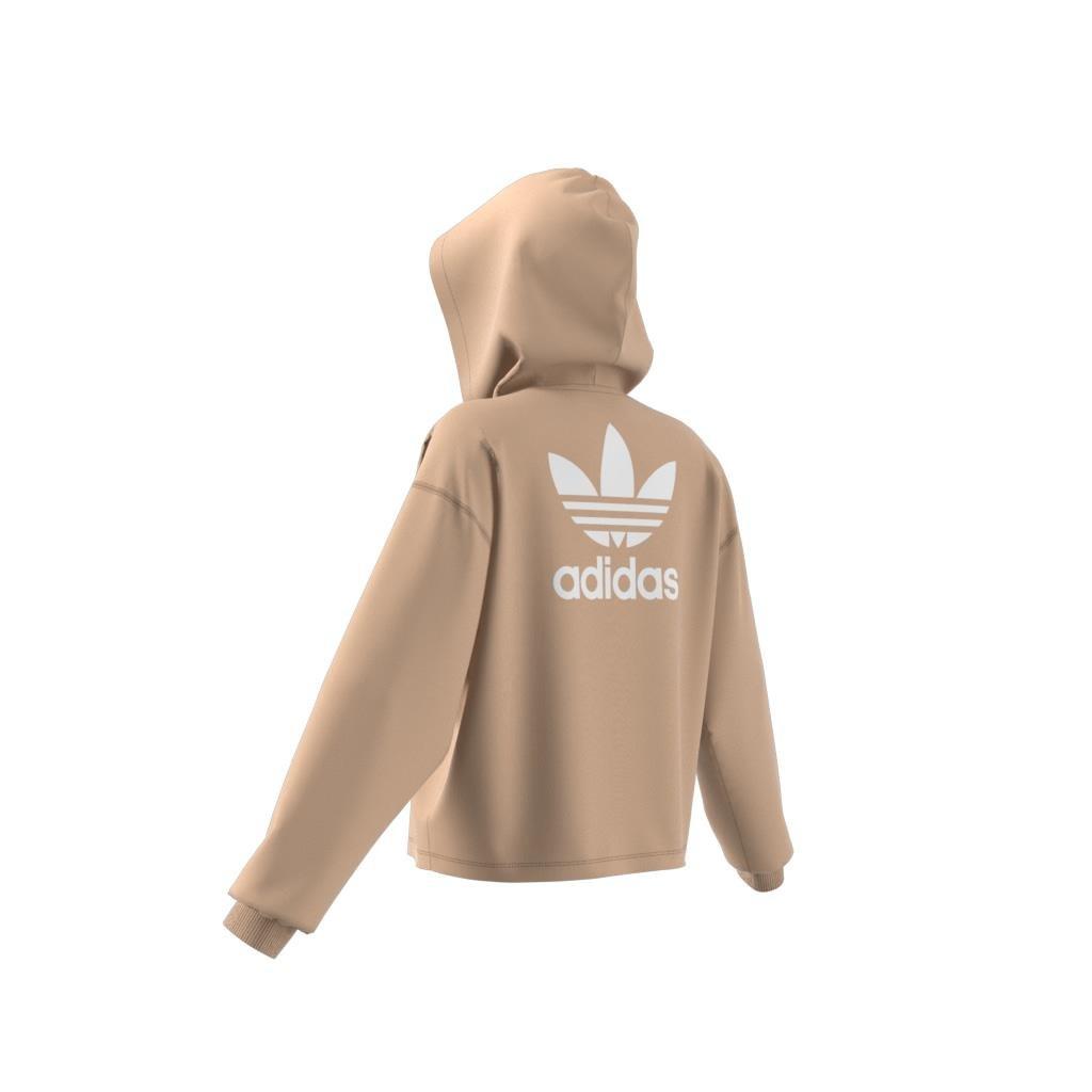 Trefoil Cropped Hoodie, Beige, A901_ONE, large image number 13
