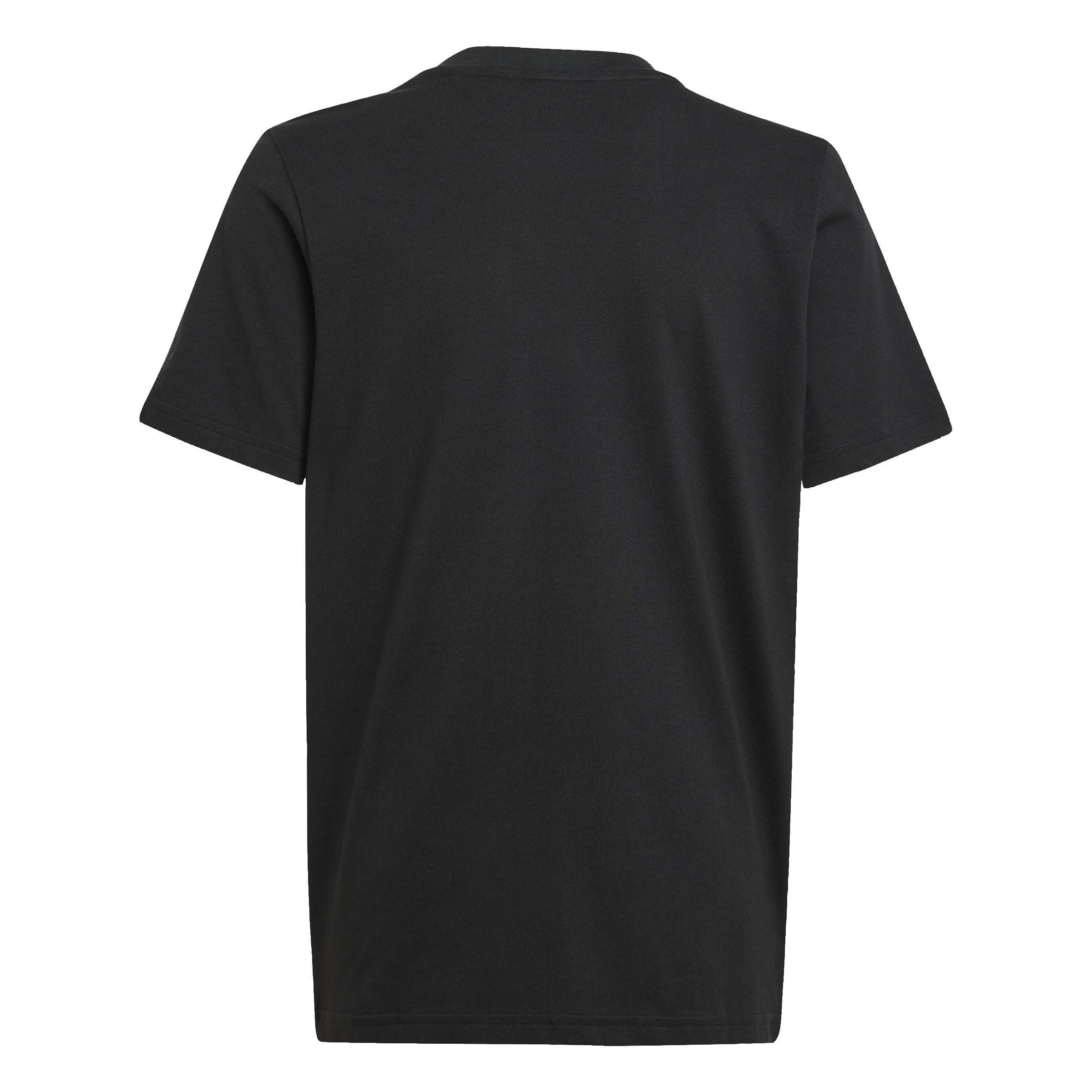 Unisex Graphics T-Shirt, Black, A901_ONE, medium
