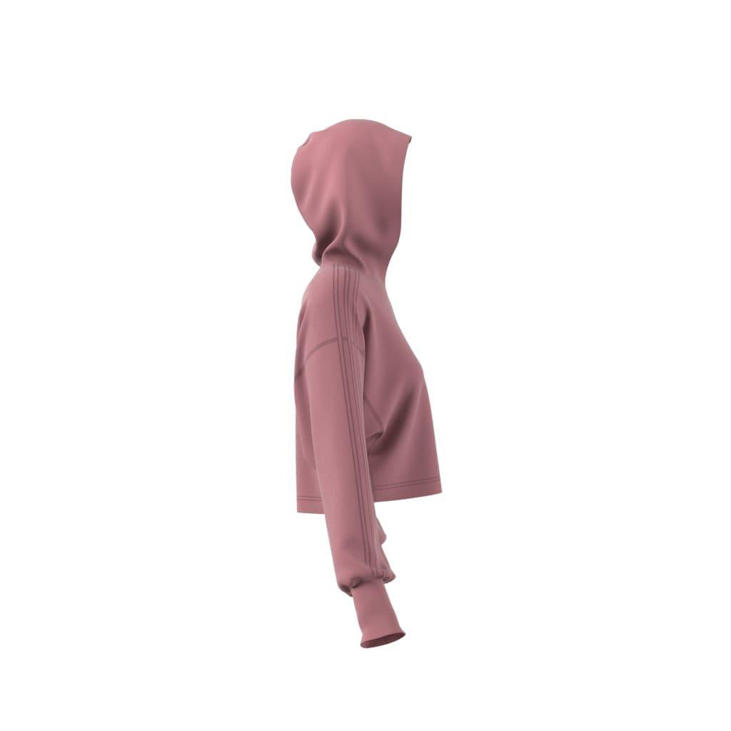 ALL SZN French Terry 3-Stripes Hoodie, Red, A901_ONE, large image number 11