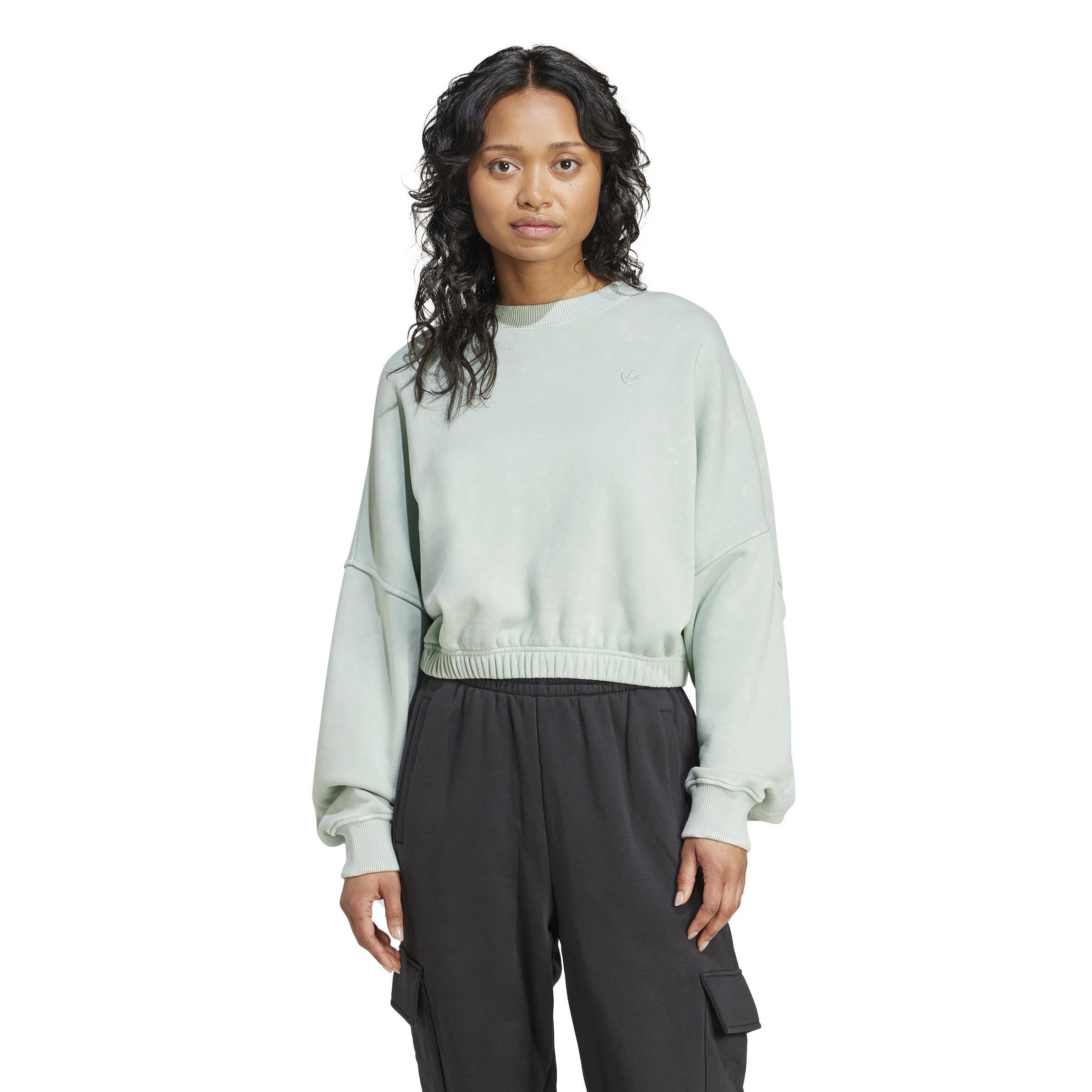 Premium Essentials Washed Oversized Sweatshirt, Green, A901_ONE, large image number 14