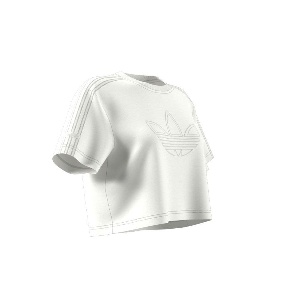 Firebird Trefoil Crop T-shirt, White, A901_ONE, large image number 6