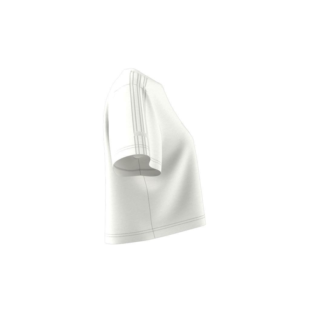 Firebird Trefoil Crop T-shirt, White, A901_ONE, large image number 11