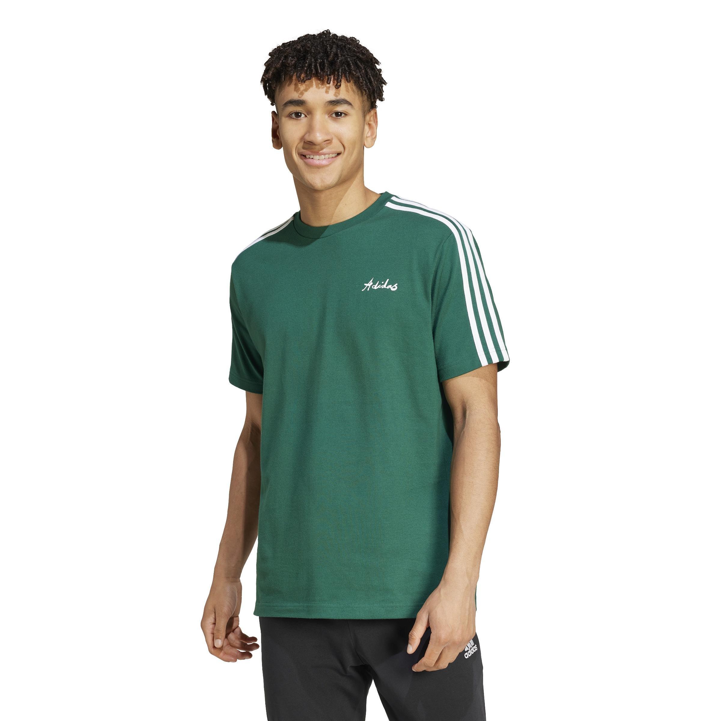 Gallery Graphic T-Shirt, Green, , large image number 10