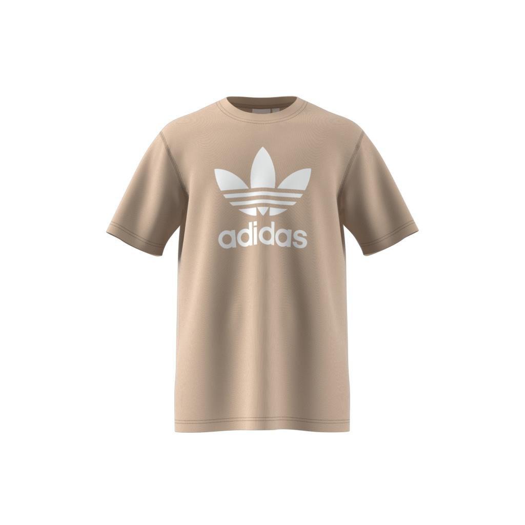 Adicolor Trefoil T-Shirt, Beige, A901_ONE, large image number 7