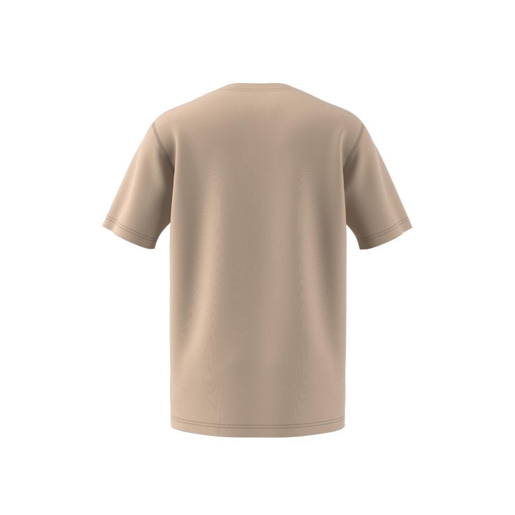 Adicolor Trefoil T-Shirt, Beige, A901_ONE, large image number 12