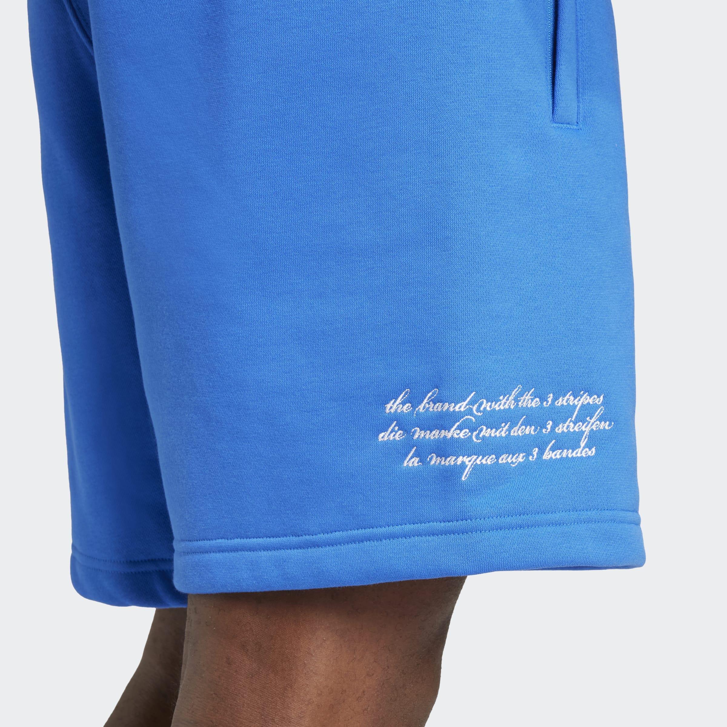 VRCT Shorts, Blue, A901_ONE, large image number 2