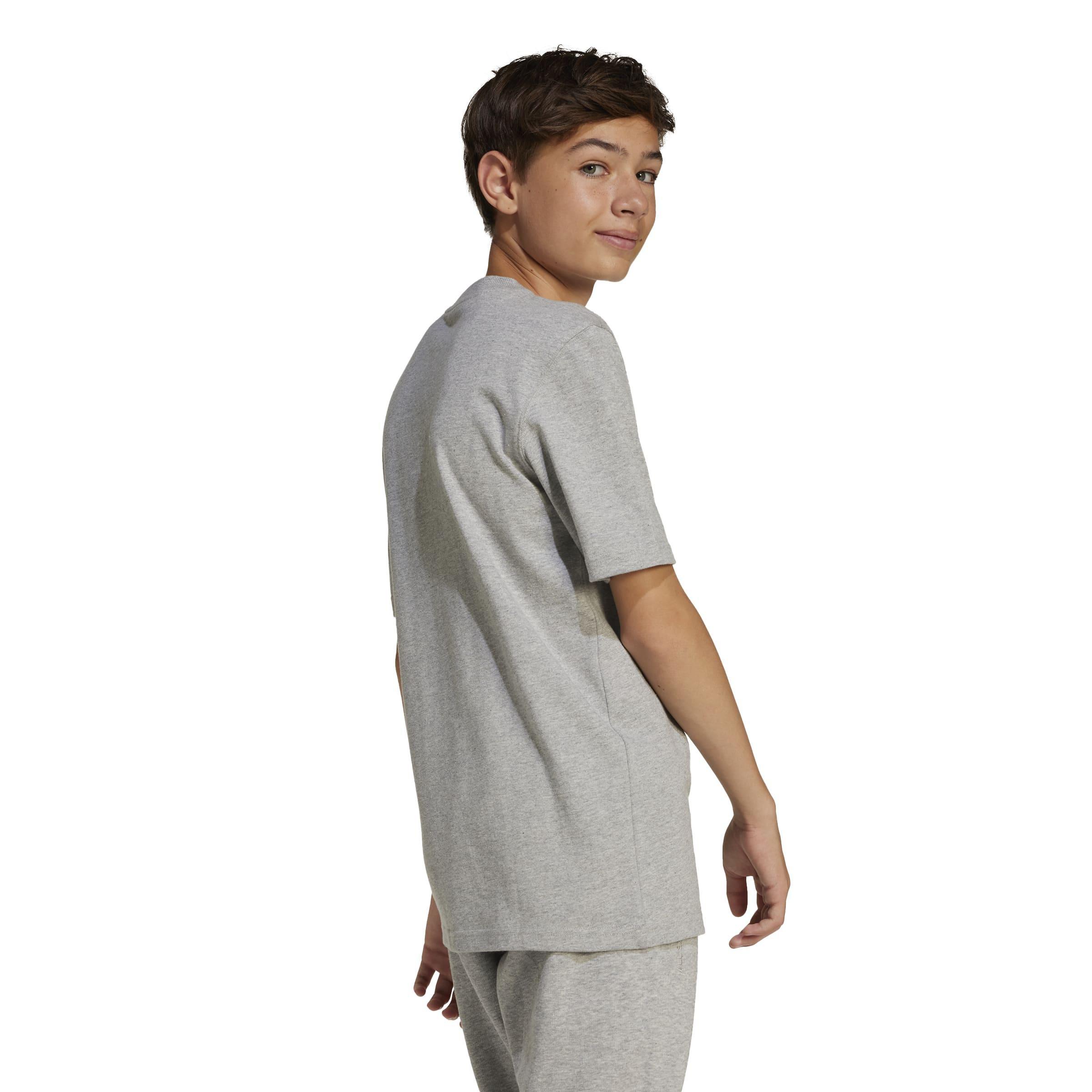 Kids Unisex ALL SZN Graphic T-Shirt, Grey, A901_ONE, large image number 2