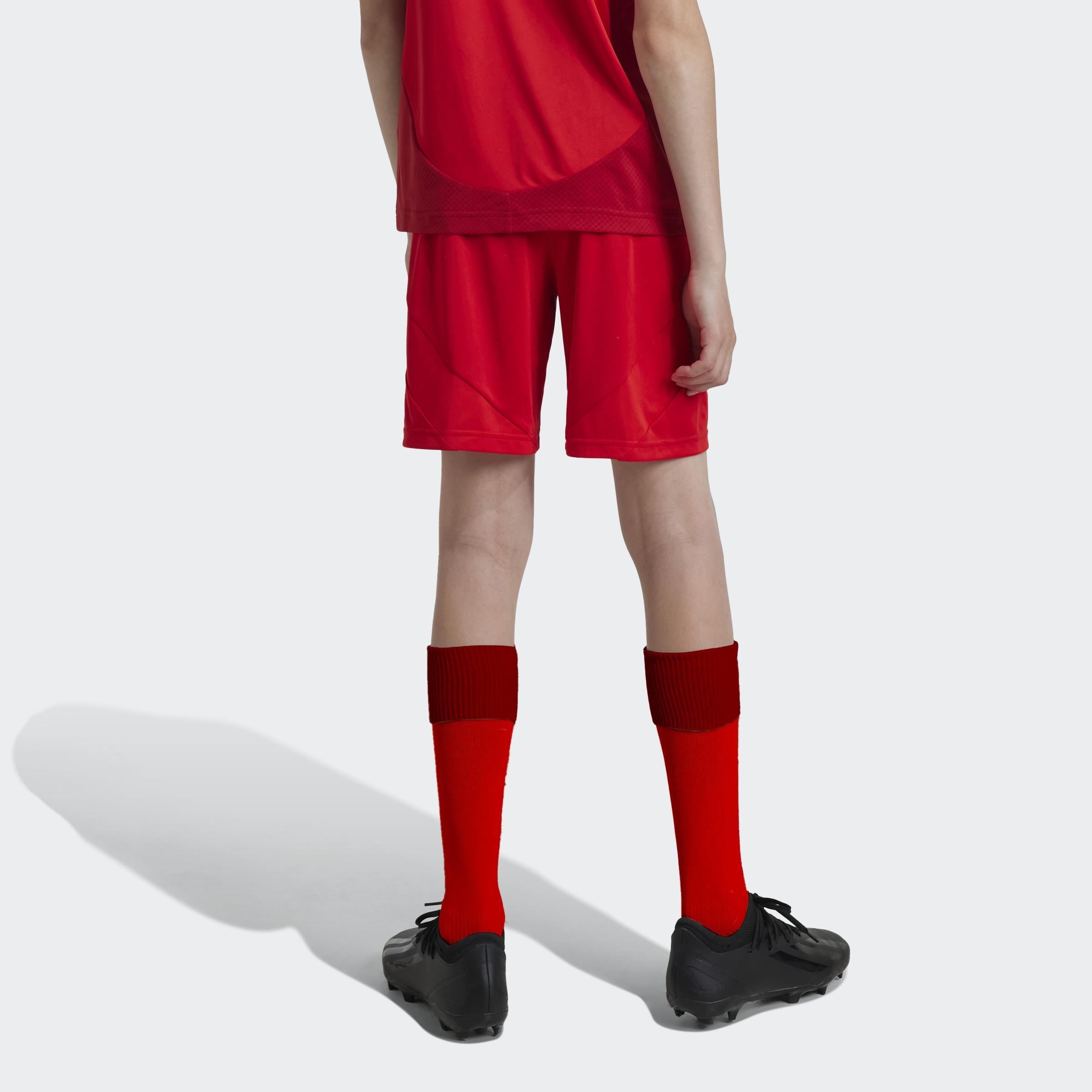 Kids FC Bayern 24/25 Home Shorts, Red