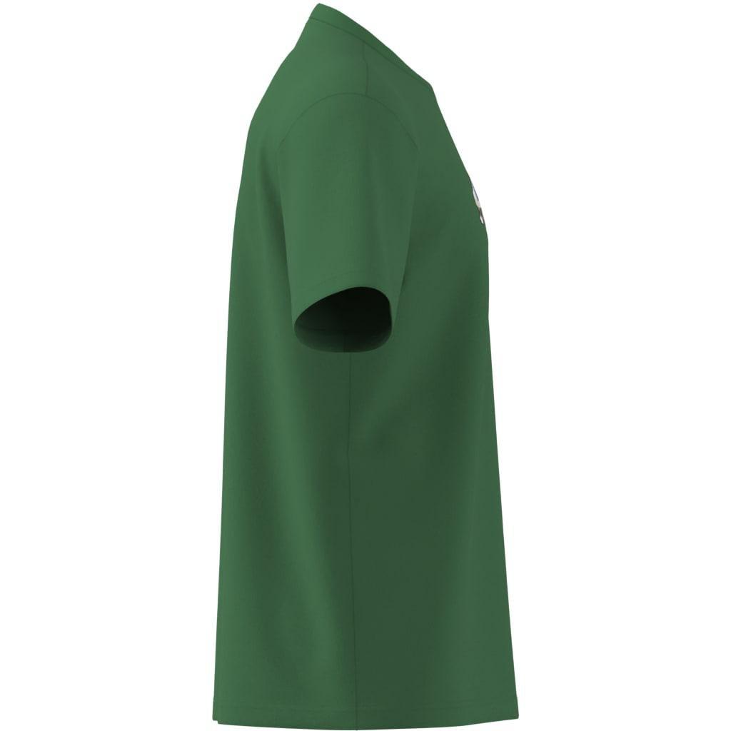 adidas Originals T-Shirt, Green, A901_ONE, large image number 5