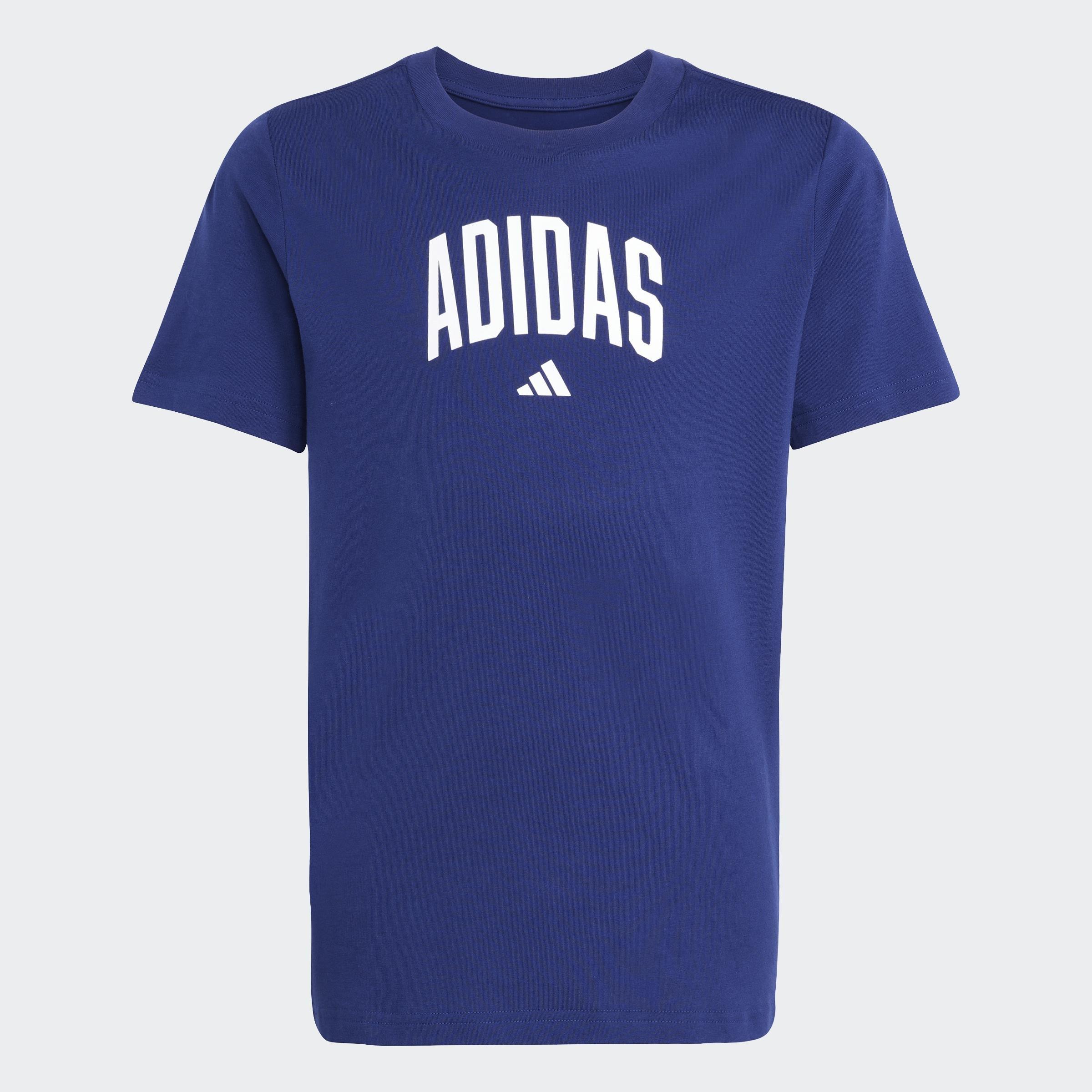 Kids Unisex Collegiate Graphic T-Shirt, Blue, A901_ONE, large image number 0