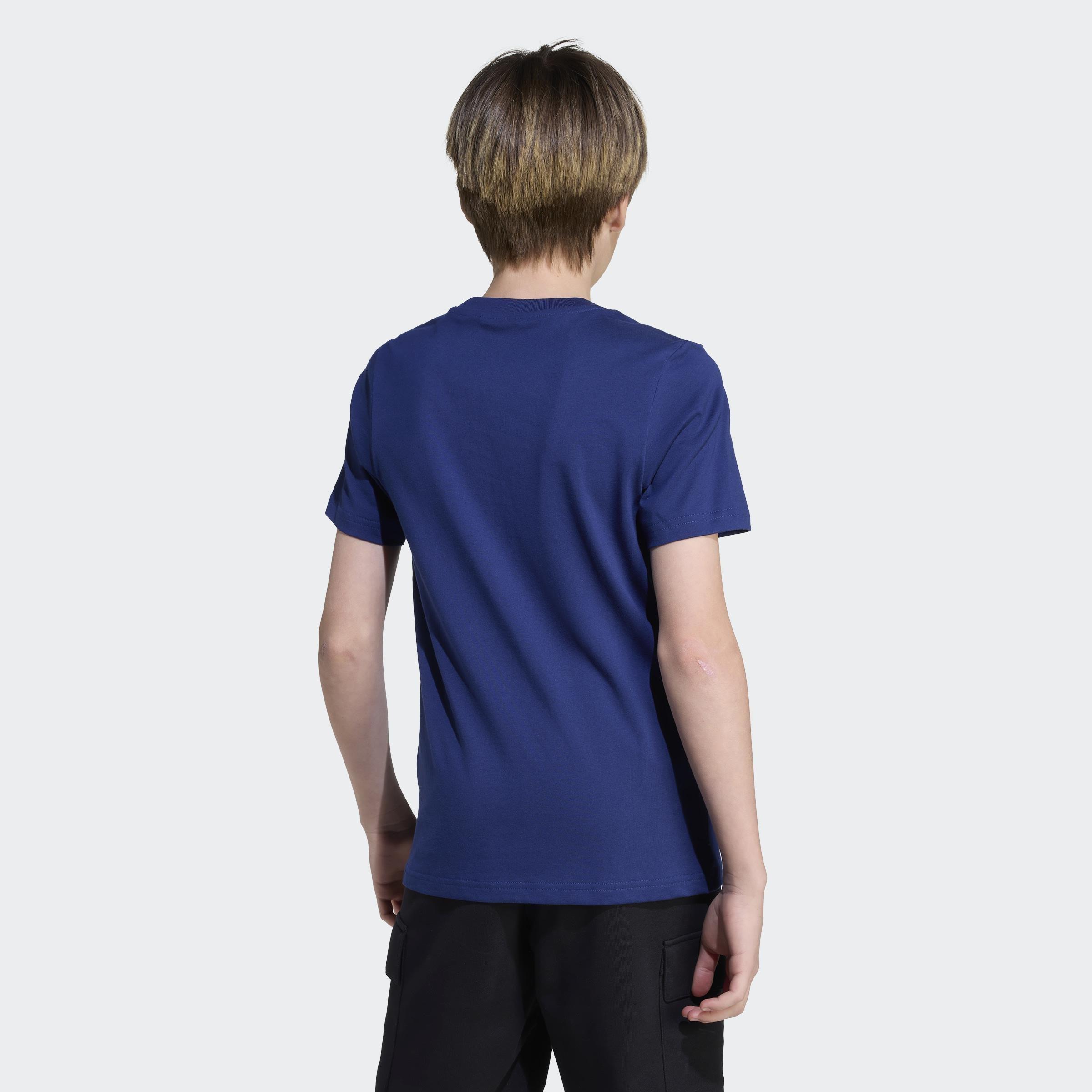 Kids Unisex Collegiate Graphic T-Shirt, Blue, A901_ONE, large image number 1