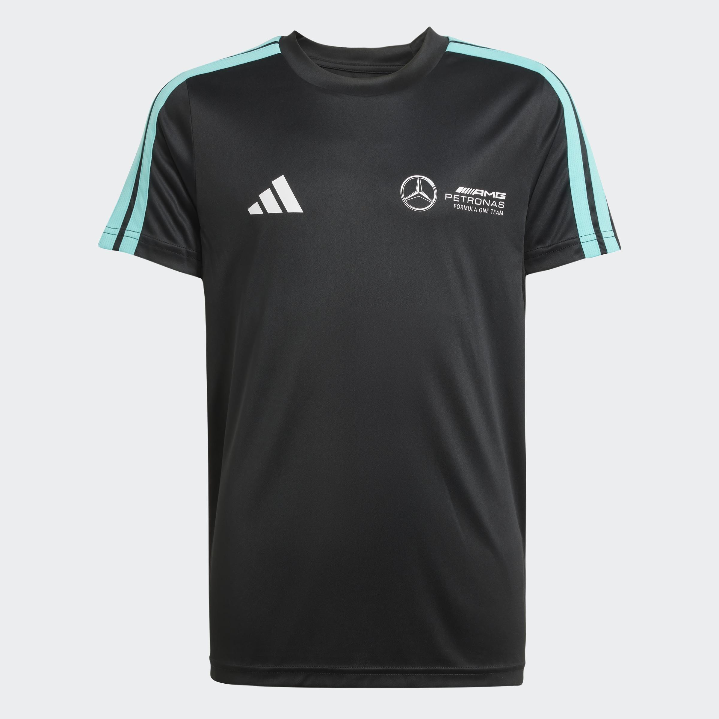 Kids Mercedes - AMG Petronas Formula One Team Dna Tee Youth, Black