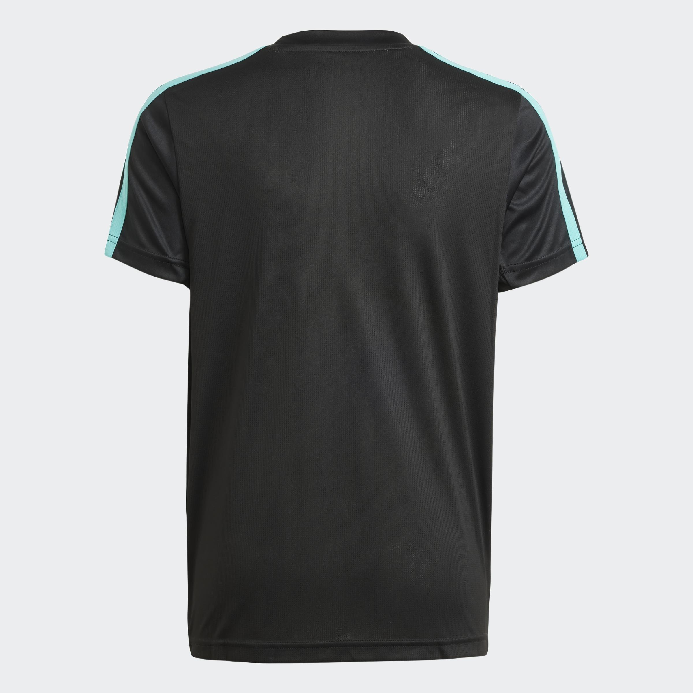 Kids Mercedes - AMG Petronas Formula One Team Dna Tee Youth, Black