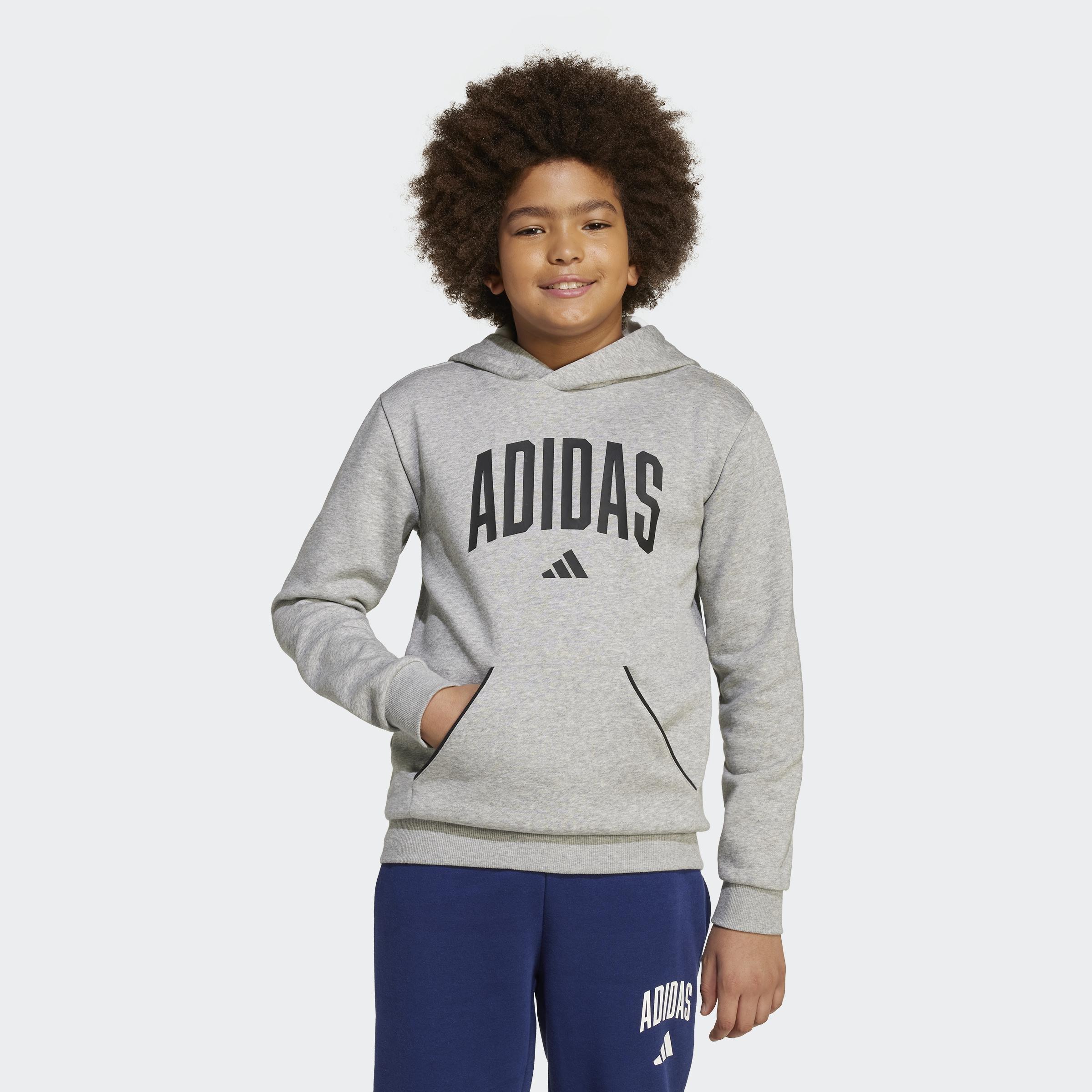 Kids Unisex Seasonals Essentials Collegiate Typography Hoodie, Grey, A901_ONE, large image number 5