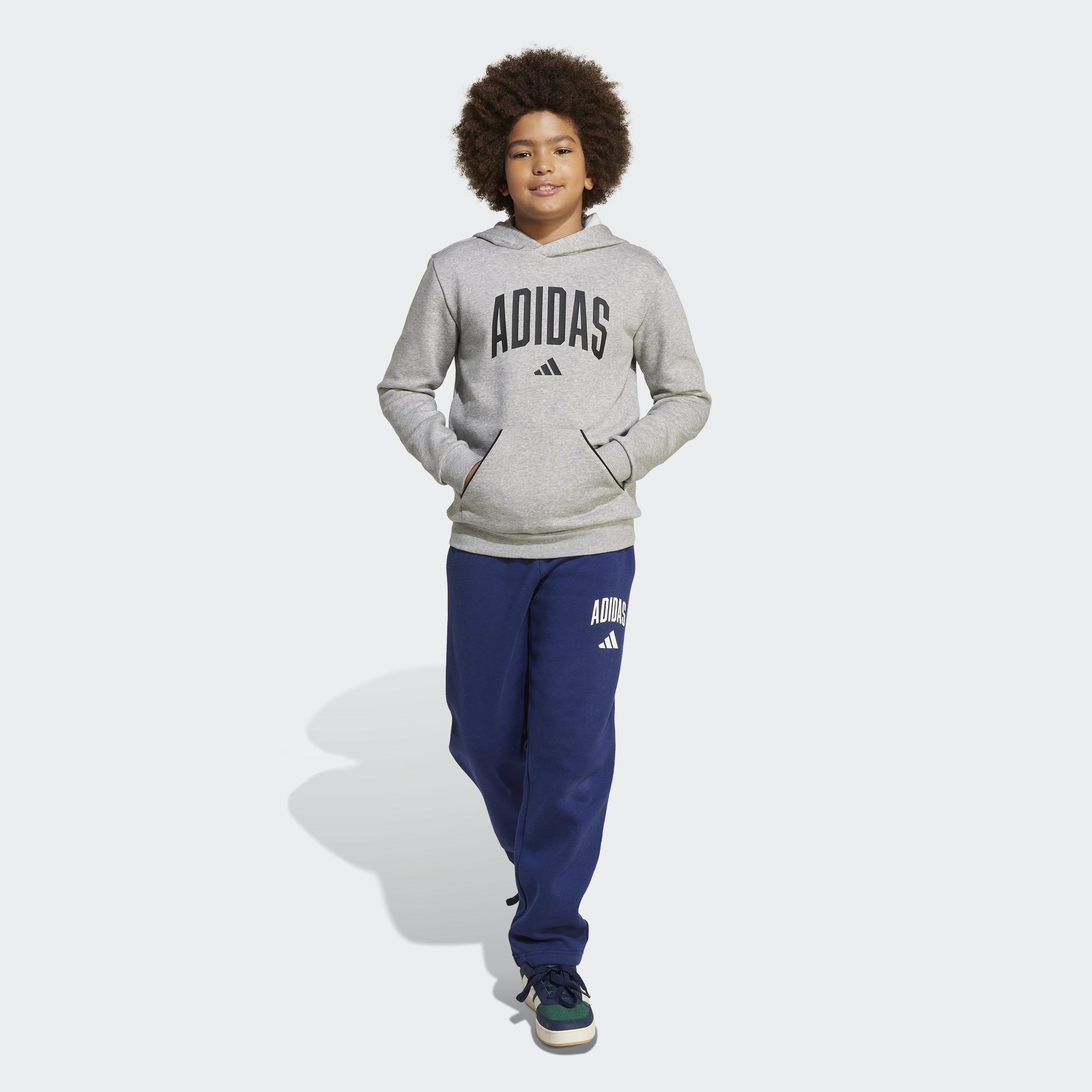 Kids Unisex Seasonals Essentials Collegiate Typography Hoodie, Grey, A901_ONE, large image number 6