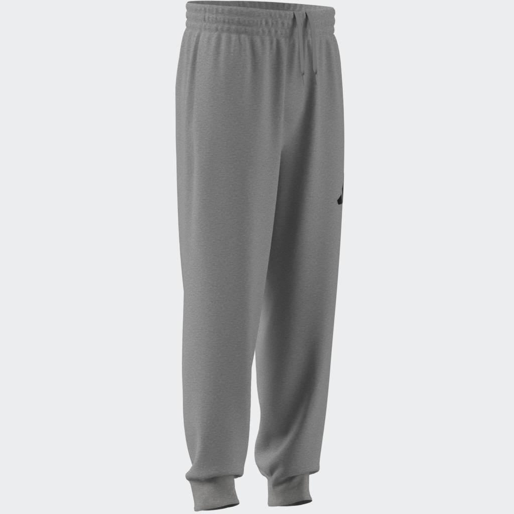Regular Fit Joggers, Grey