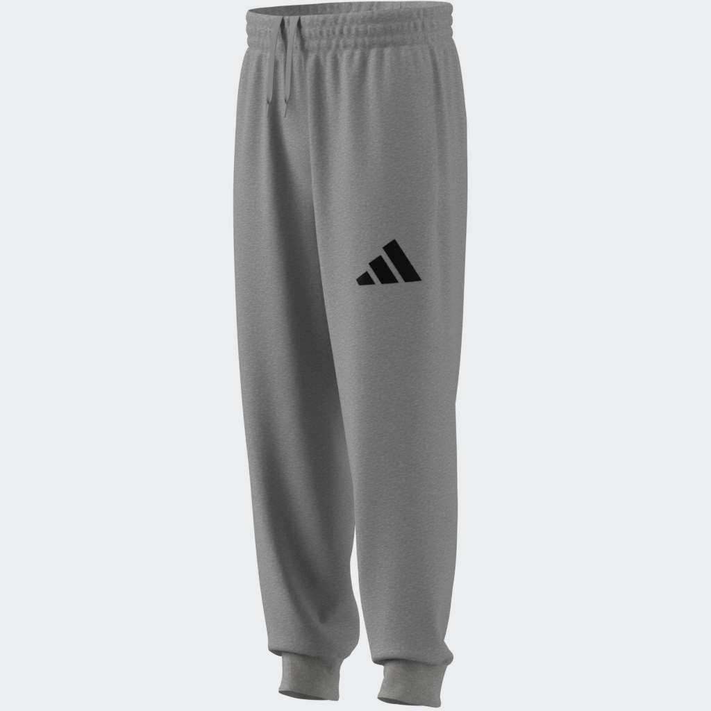 Regular Fit Joggers, Grey