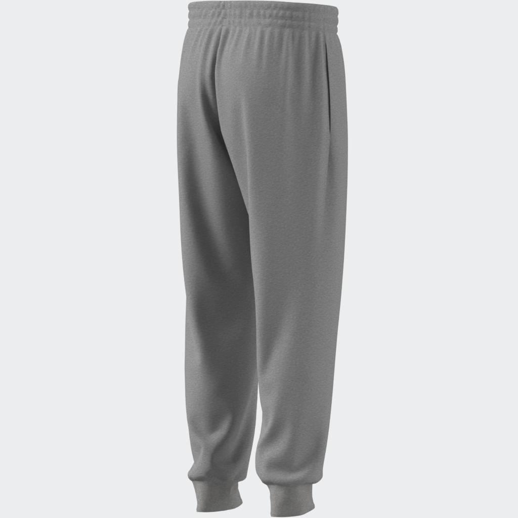 Regular Fit Joggers, Grey, A901_ONE, large image number 3