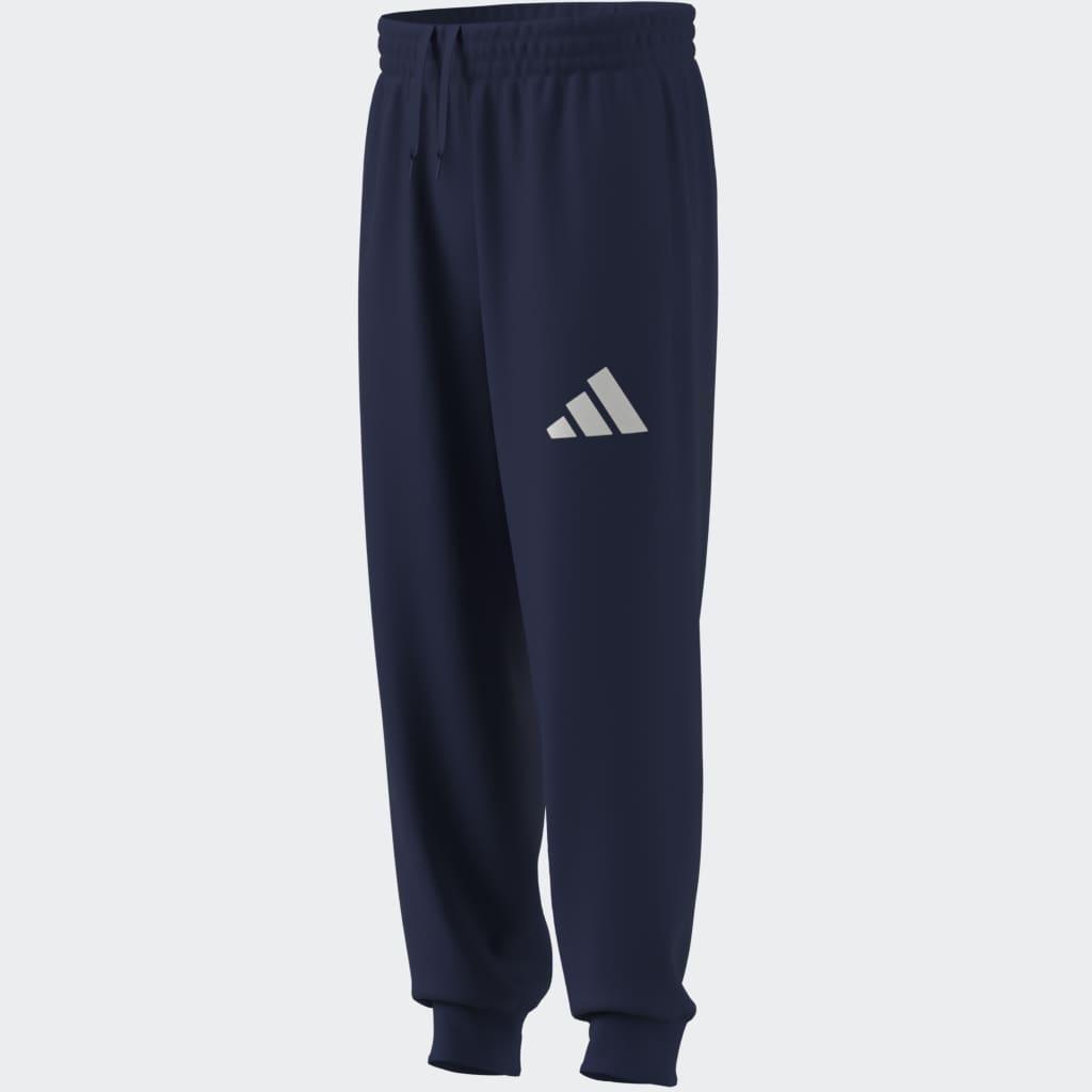 Regular Fit Joggers, Blue