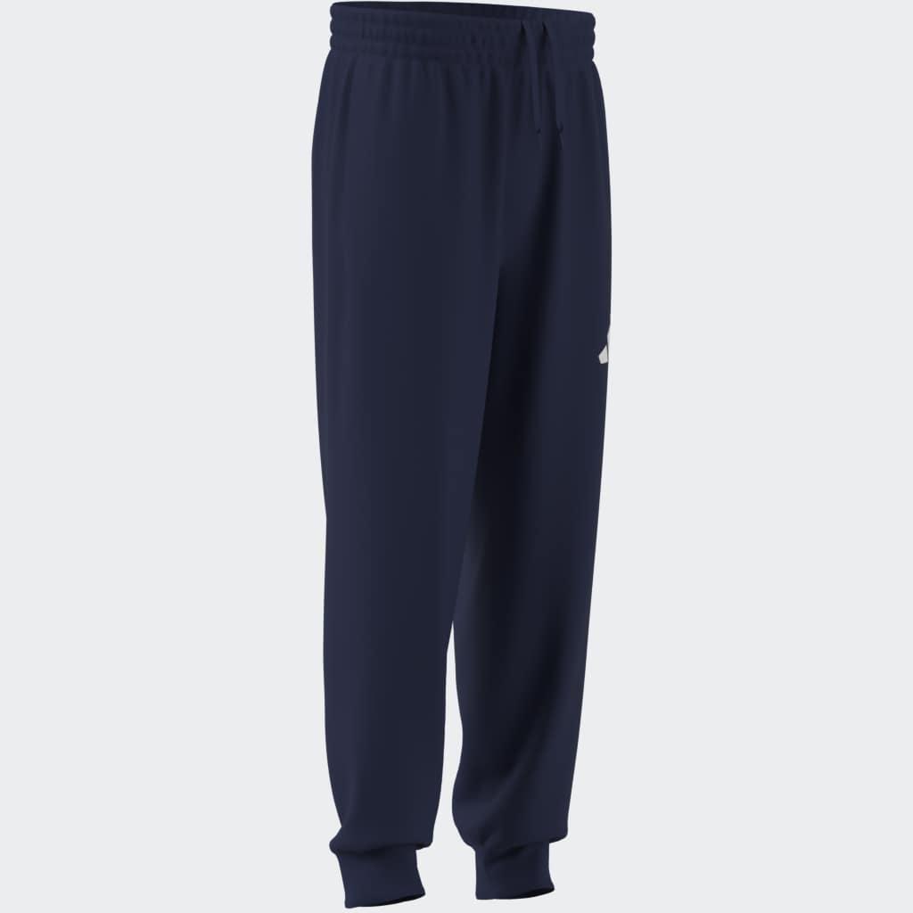 Regular Fit Joggers, Blue