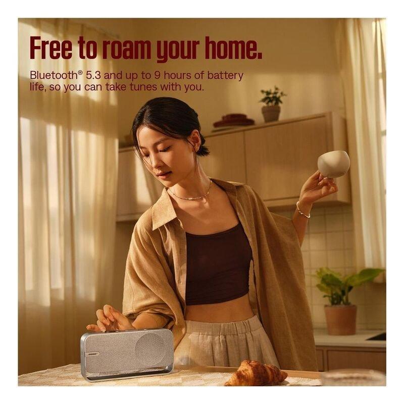 Bose Soundlink Home Bluetooth Speaker 5V, Silver, B501_000, large image number 5